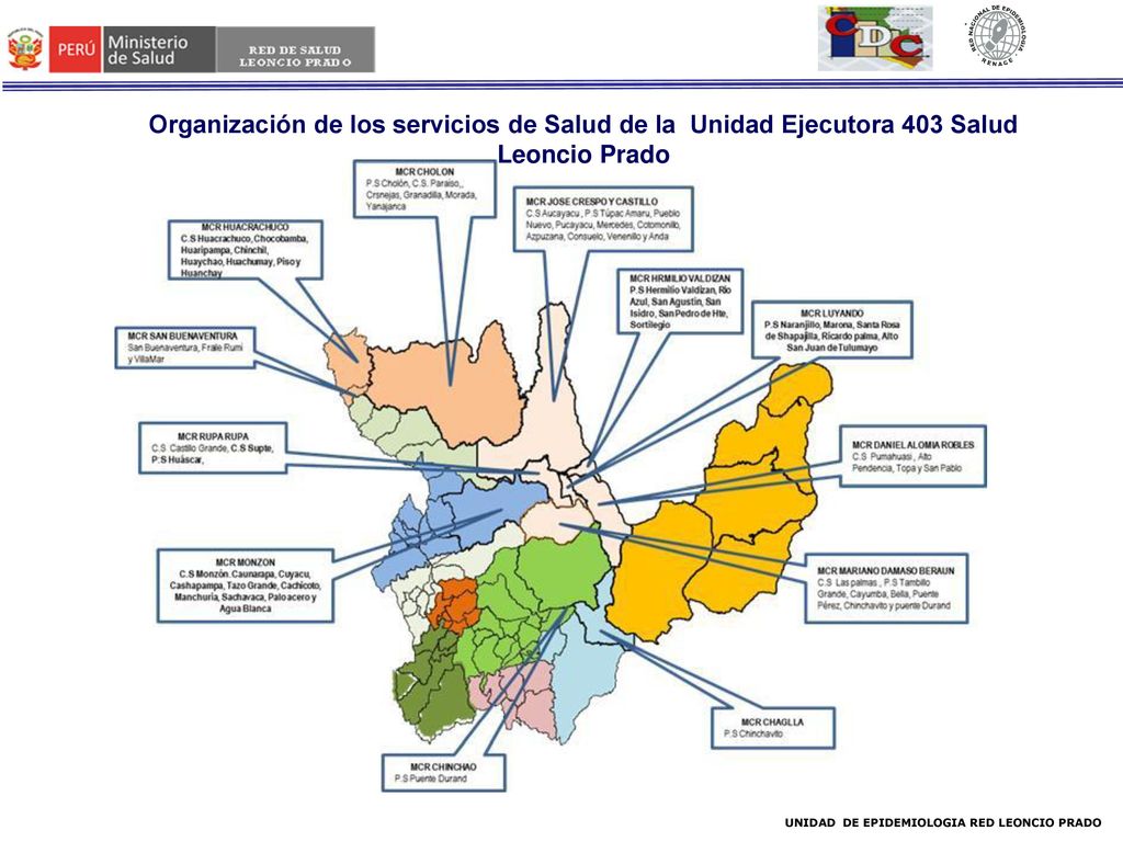Organización de los servicios de Salud de la Unidad Ejecutora 403 Salud Leoncio Prado