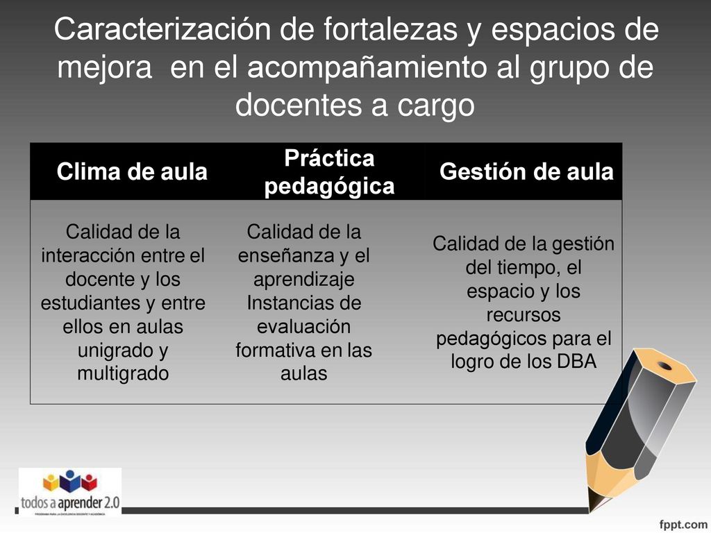 Caracterización de fortalezas y espacios de mejora en el acompañamiento al grupo de docentes a cargo