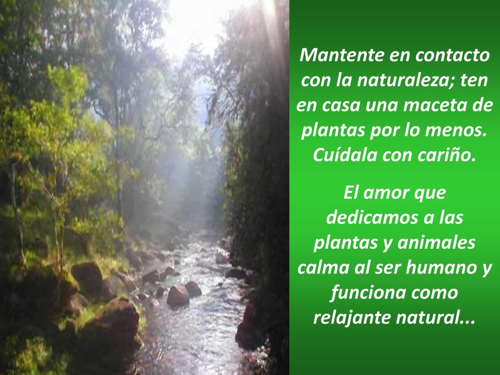 Mantente en contacto con la naturaleza; ten en casa una maceta de plantas por lo menos. Cuídala con cariño.