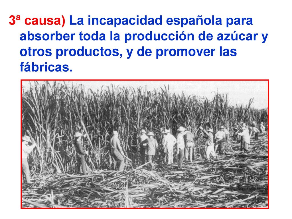 3ª causa) La incapacidad española para absorber toda la producción de azúcar y otros productos, y de promover las fábricas.
