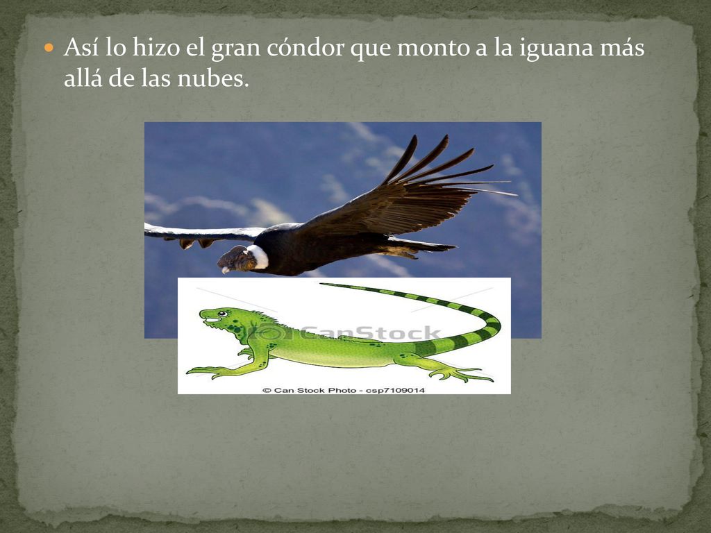Así lo hizo el gran cóndor que monto a la iguana más allá de las nubes.