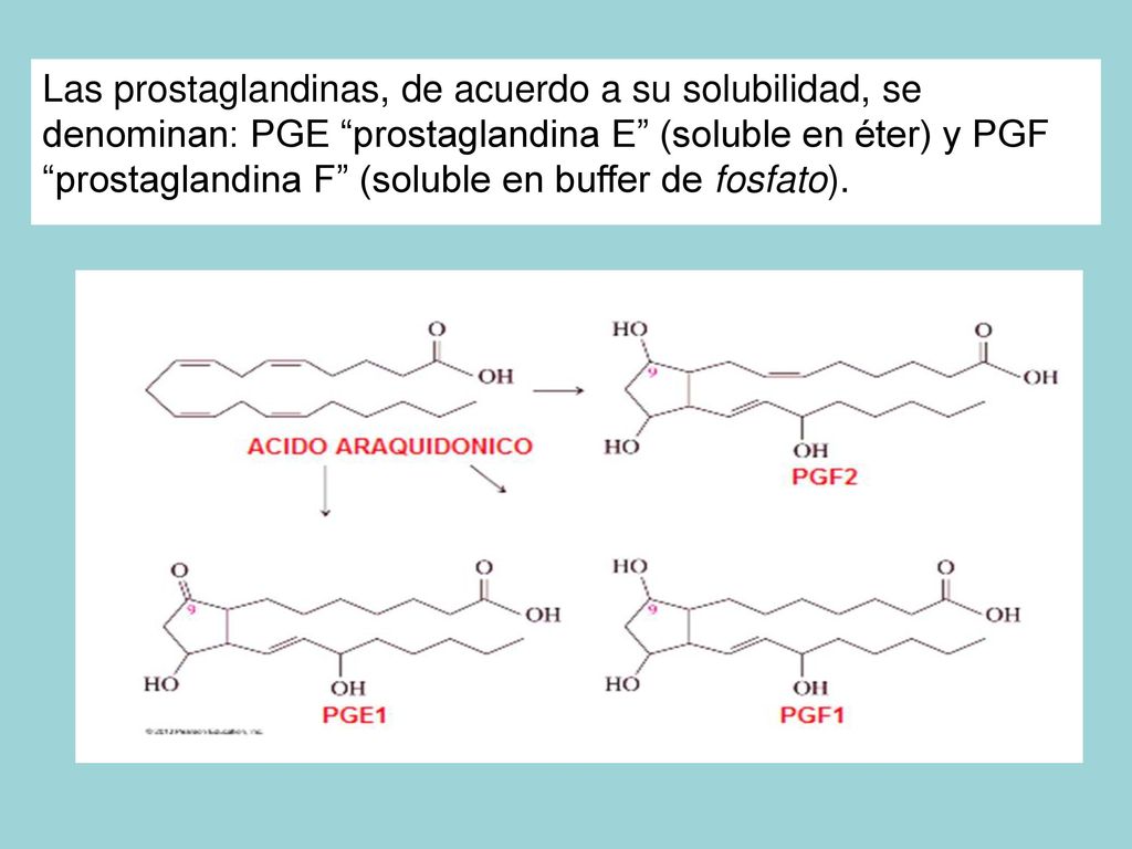 Las prostaglandinas, de acuerdo a su solubilidad, se denominan: PGE prostaglandina E (soluble en éter) y PGF prostaglandina F (soluble en buffer de fosfato).