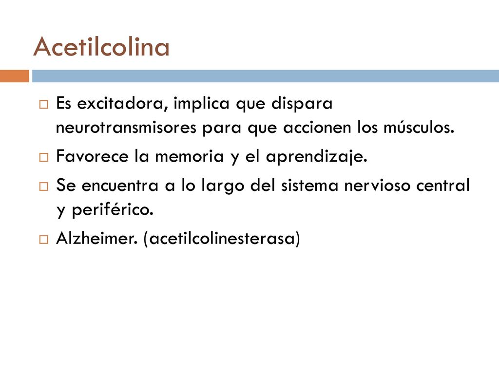 Acetilcolina Es excitadora, implica que dispara neurotransmisores para que accionen los músculos. Favorece la memoria y el aprendizaje.