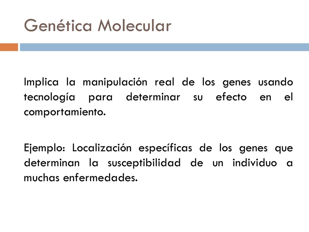 Genética Molecular Implica la manipulación real de los genes usando tecnología para determinar su efecto en el comportamiento.
