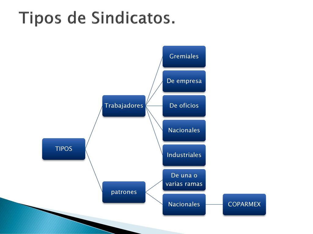 Tipos de Sindicatos. TIPOS Trabajadores Gremiales De empresa