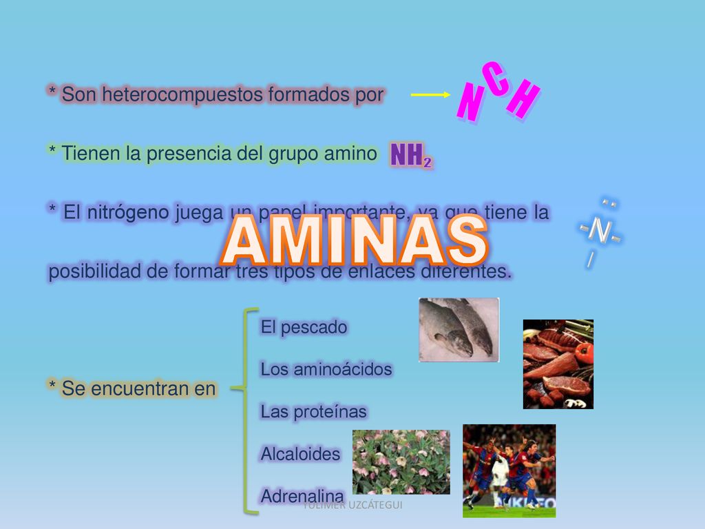 C H N NH 2 AMINAS -N- .. * Son heterocompuestos formados por
