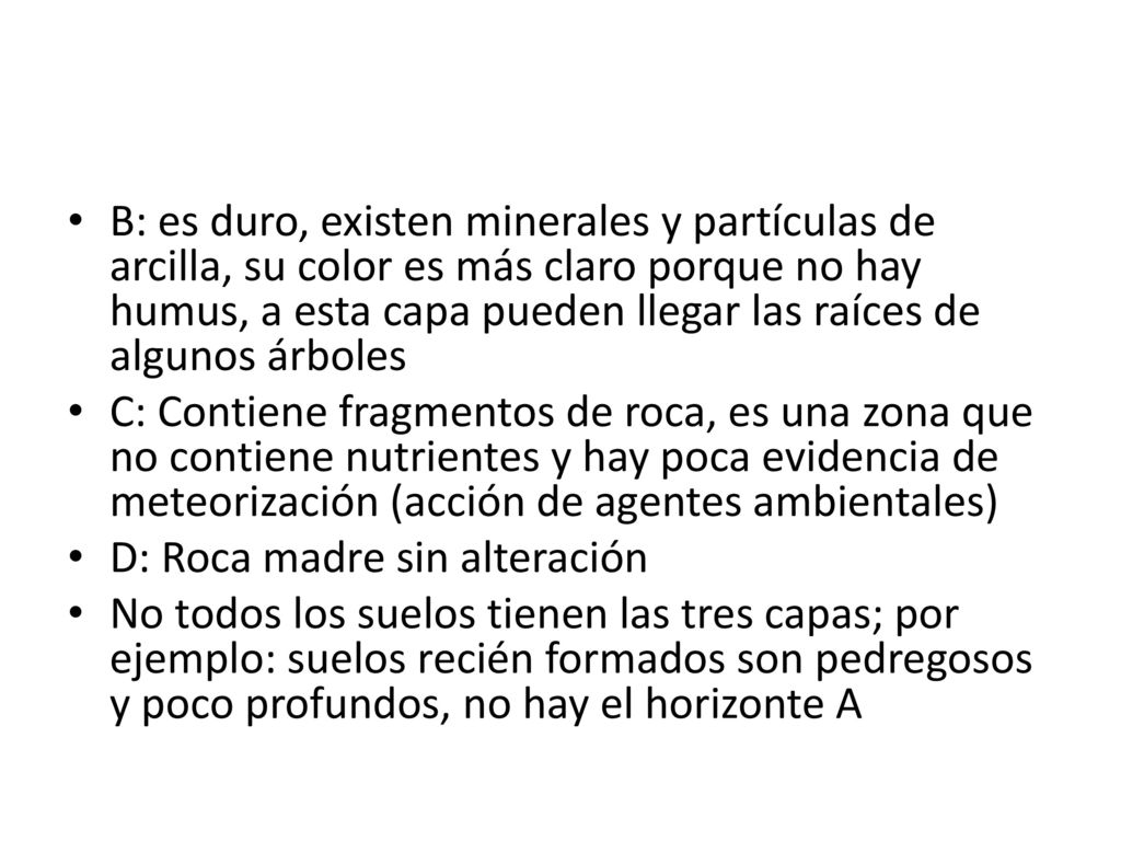 B: es duro, existen minerales y partículas de arcilla, su color es más claro porque no hay humus, a esta capa pueden llegar las raíces de algunos árboles