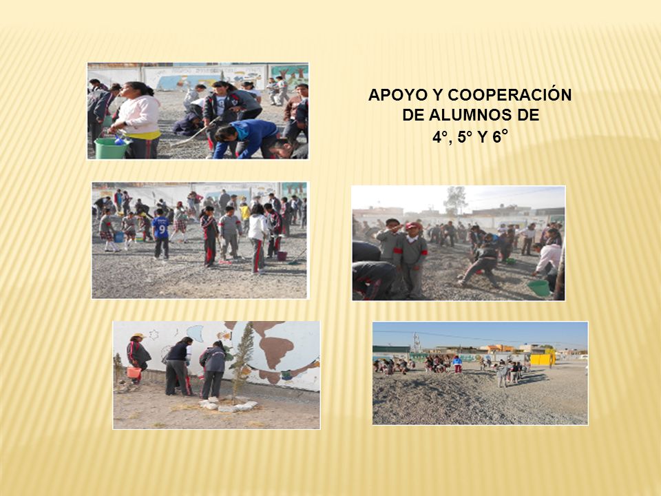 APOYO Y COOPERACIÓN DE ALUMNOS DE 4°, 5° Y 6°