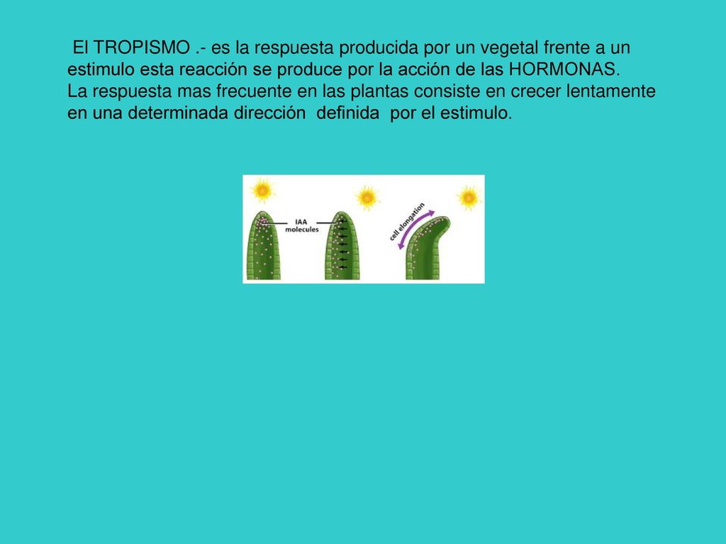 El TROPISMO .- es la respuesta producida por un vegetal frente a un estimulo esta reacción se produce por la acción de las HORMONAS.