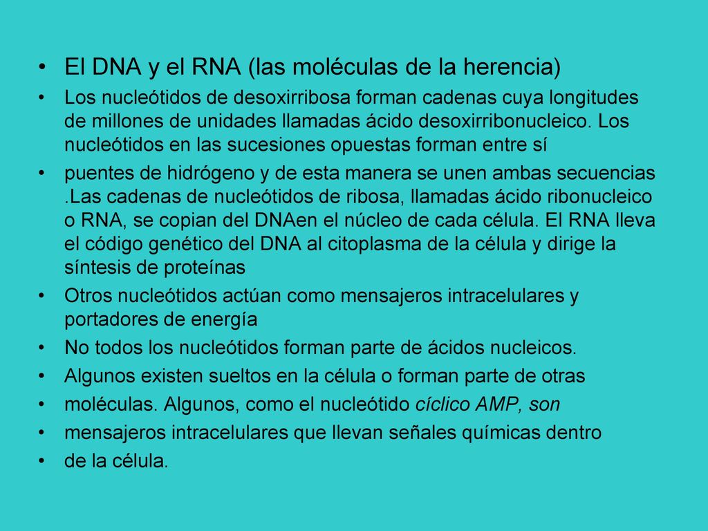 El DNA y el RNA (las moléculas de la herencia)