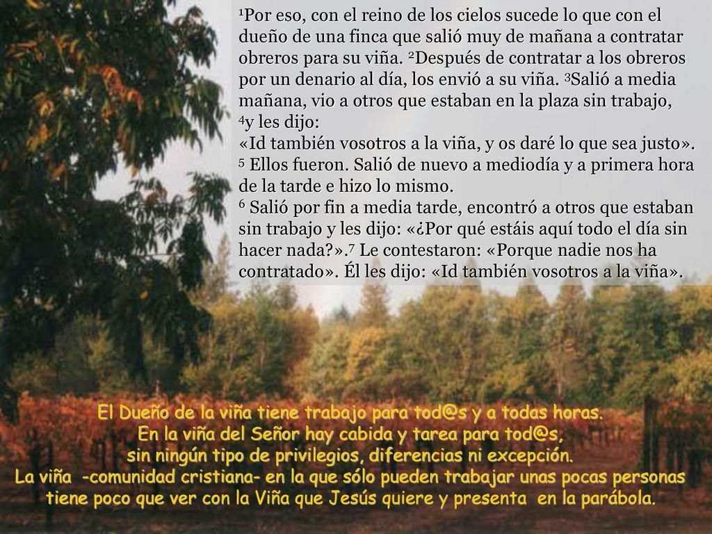 El Dueño de la viña tiene trabajo para y a todas horas.