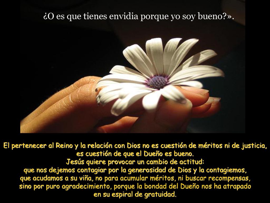 ¿O es que tienes envidia porque yo soy bueno ».