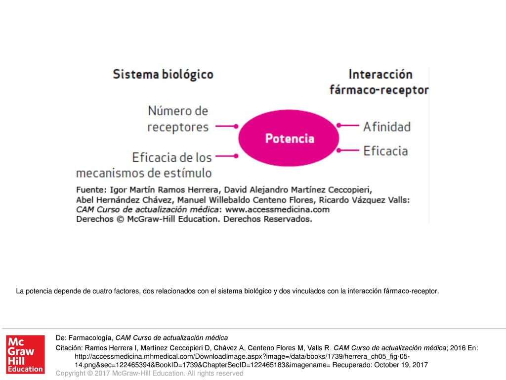La potencia depende de cuatro factores, dos relacionados con el sistema biológico y dos vinculados con la interacción fármaco-receptor.
