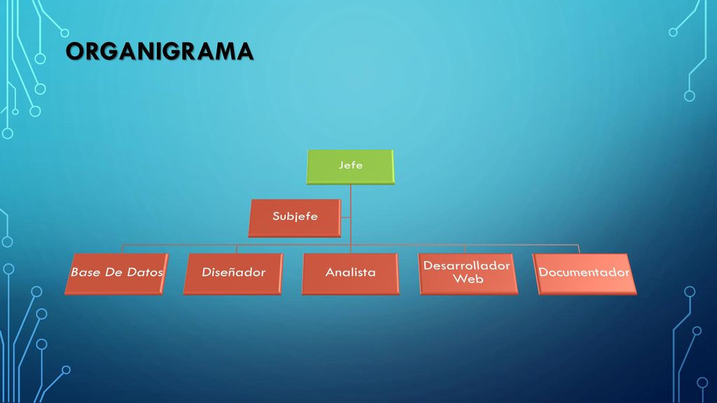 ORGANIGRAMA Jefe Base De Datos Diseñador Analista Desarrollador Web
