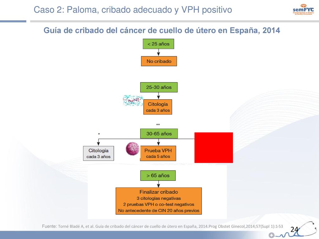 Guía de cribado del cáncer de cuello de útero en España, 2014