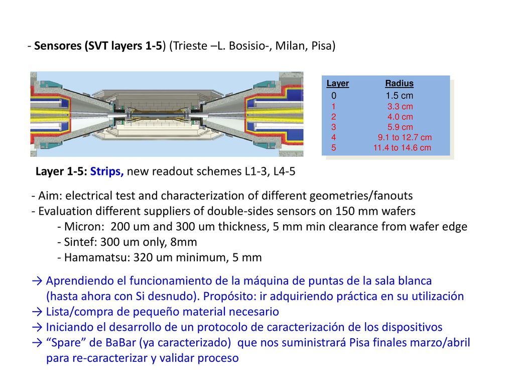 Sensores (SVT layers 1-5) (Trieste –L. Bosisio-, Milan, Pisa)