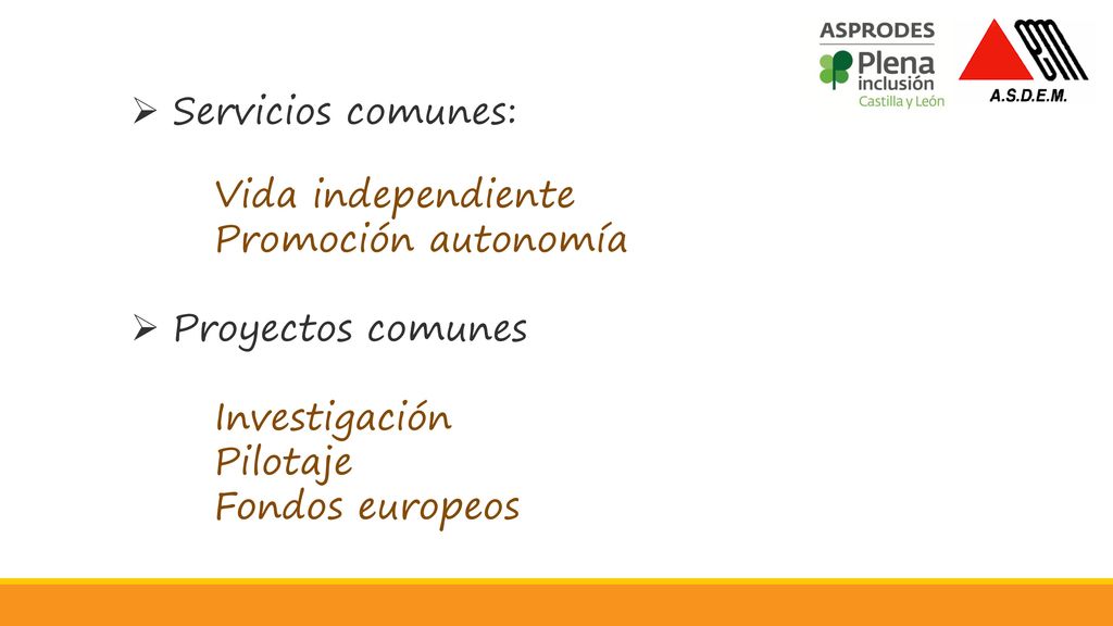 Servicios comunes: Vida independiente. Promoción autonomía. Proyectos comunes. Investigación. Pilotaje.