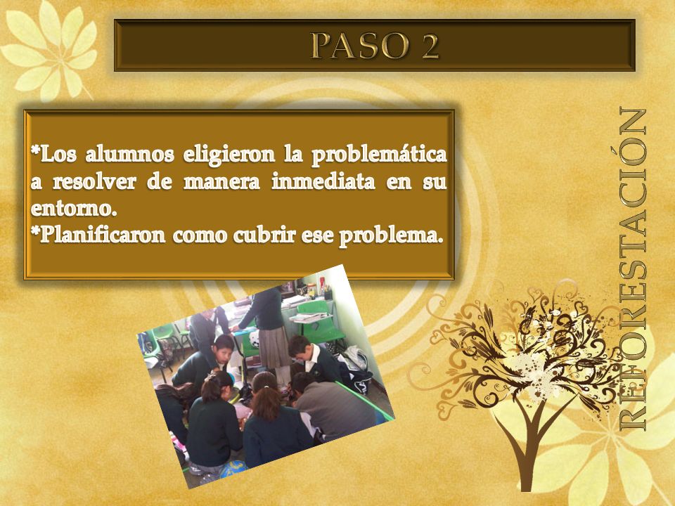 PASO 2 REFORESTACIÓN. *Los alumnos eligieron la problemática a resolver de manera inmediata en su entorno.