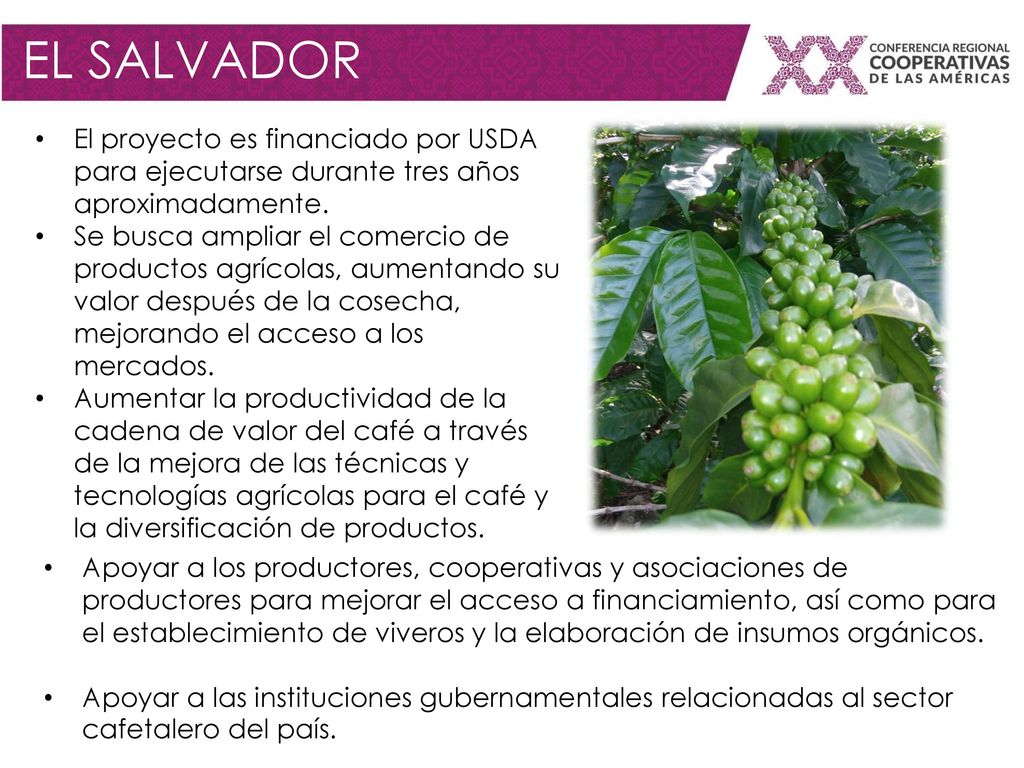 EL SALVADOR El proyecto es financiado por USDA para ejecutarse durante tres años aproximadamente.