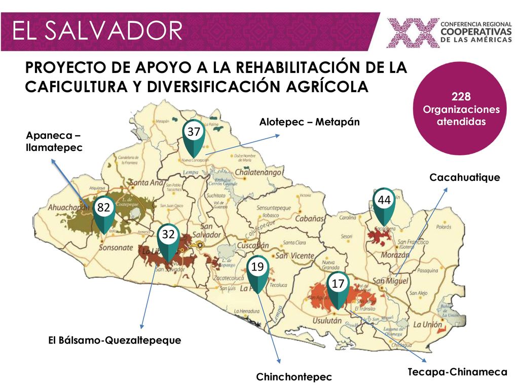 EL SALVADOR PROYECTO DE APOYO A LA REHABILITACIÓN DE LA CAFICULTURA Y DIVERSIFICACIÓN AGRÍCOLA