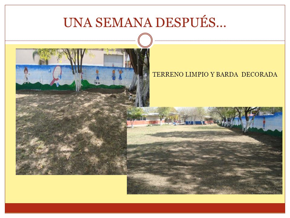 UNA SEMANA DESPUÉS… TERRENO LIMPIO Y BARDA DECORADA