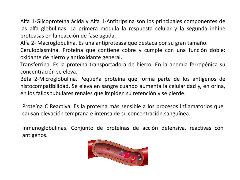 Alfa 1-Glicoproteína ácida y Alfa 1-Antitripsina son los principales componentes de las alfa globulinas. La primera modula la respuesta celular y la segunda inhibe proteasas en la reacción de fase aguda.