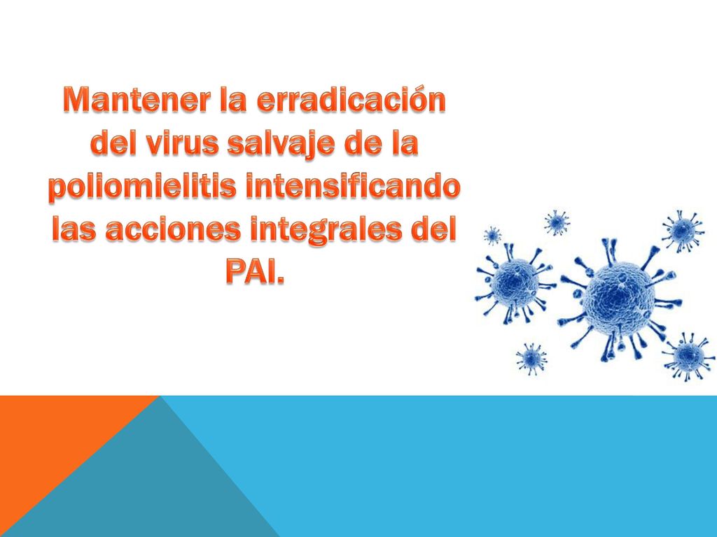 Mantener la erradicación del virus salvaje de la poliomielitis intensificando las acciones integrales del PAI.