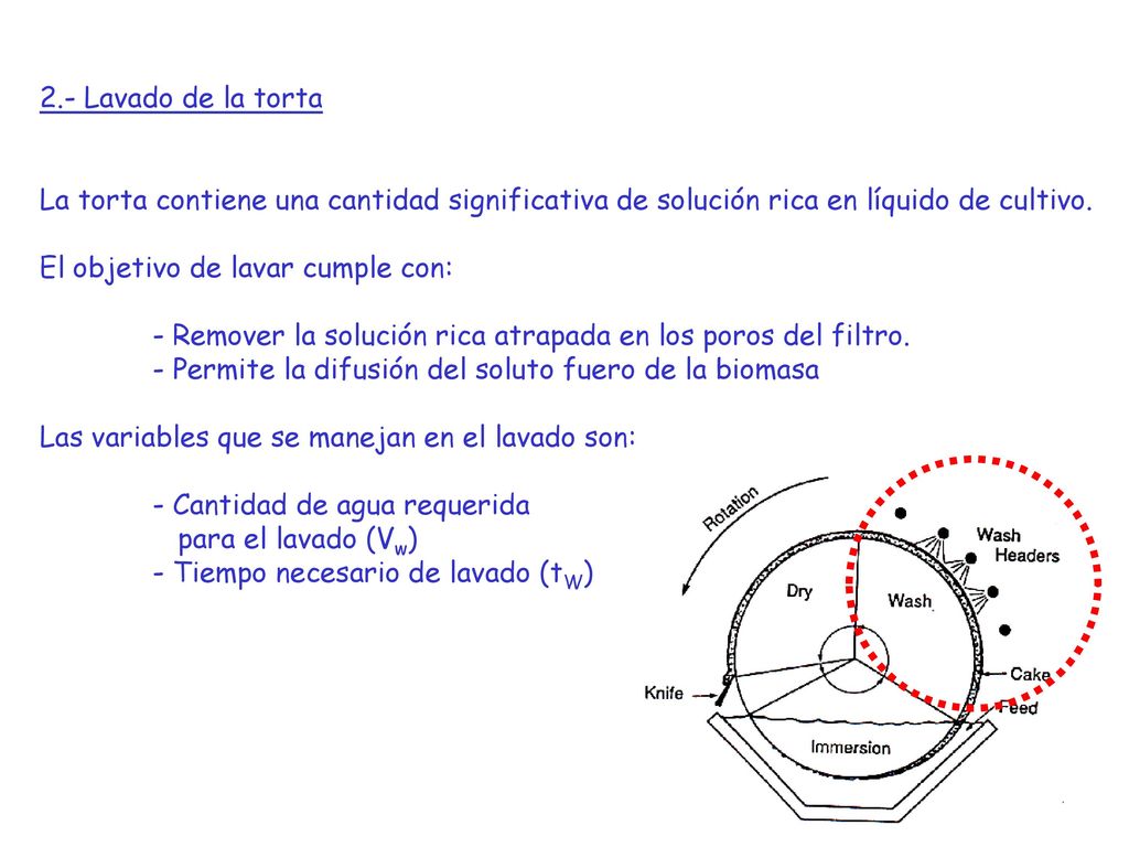2.- Lavado de la torta La torta contiene una cantidad significativa de solución rica en líquido de cultivo.