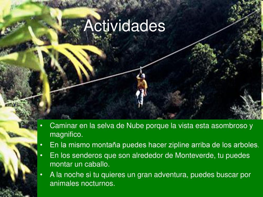 Actividades Caminar en la selva de Nube porque la vista esta asombroso y magnifico. En la mismo montaña puedes hacer zipline arriba de los arboles.