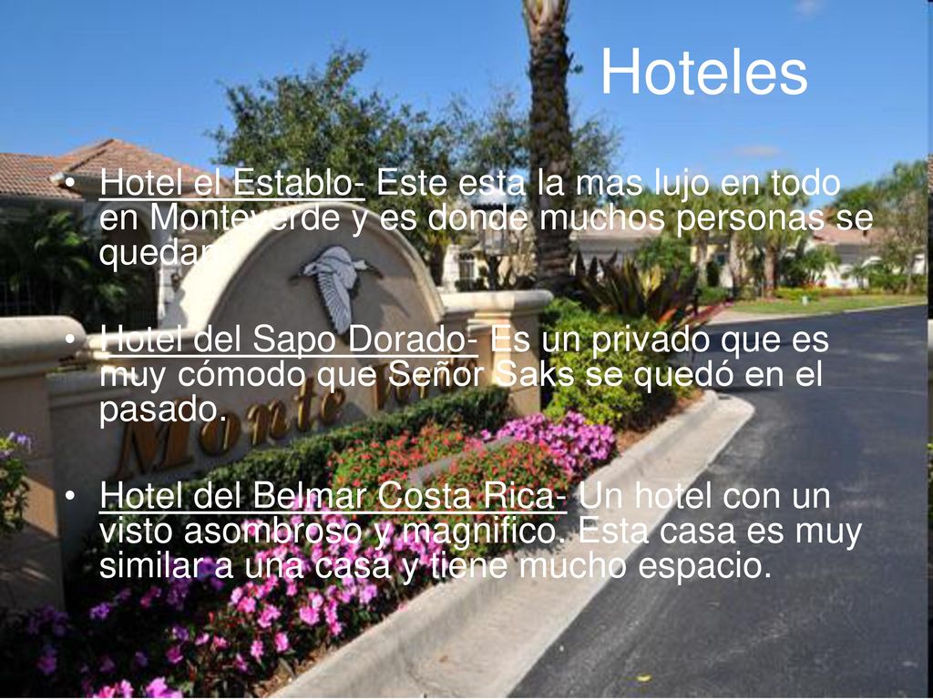 Hoteles Hotel el Establo- Este esta la mas lujo en todo en Monteverde y es donde muchos personas se quedan.