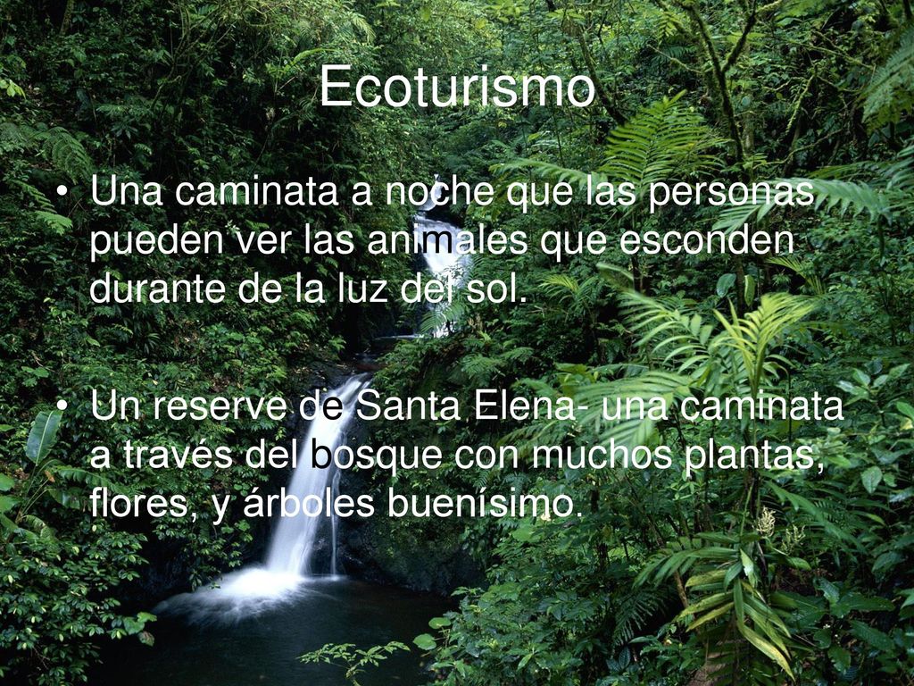 Ecoturismo Una caminata a noche que las personas pueden ver las animales que esconden durante de la luz del sol.