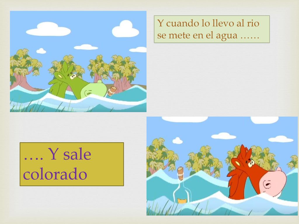 Y cuando lo llevo al rio se mete en el agua ……