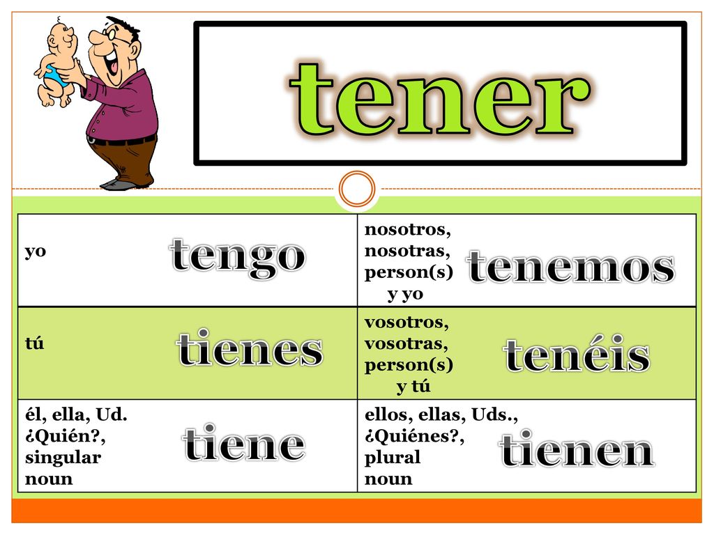 tener to have tengo tenemos tienes tenéis tiene tienen yo nosotros,