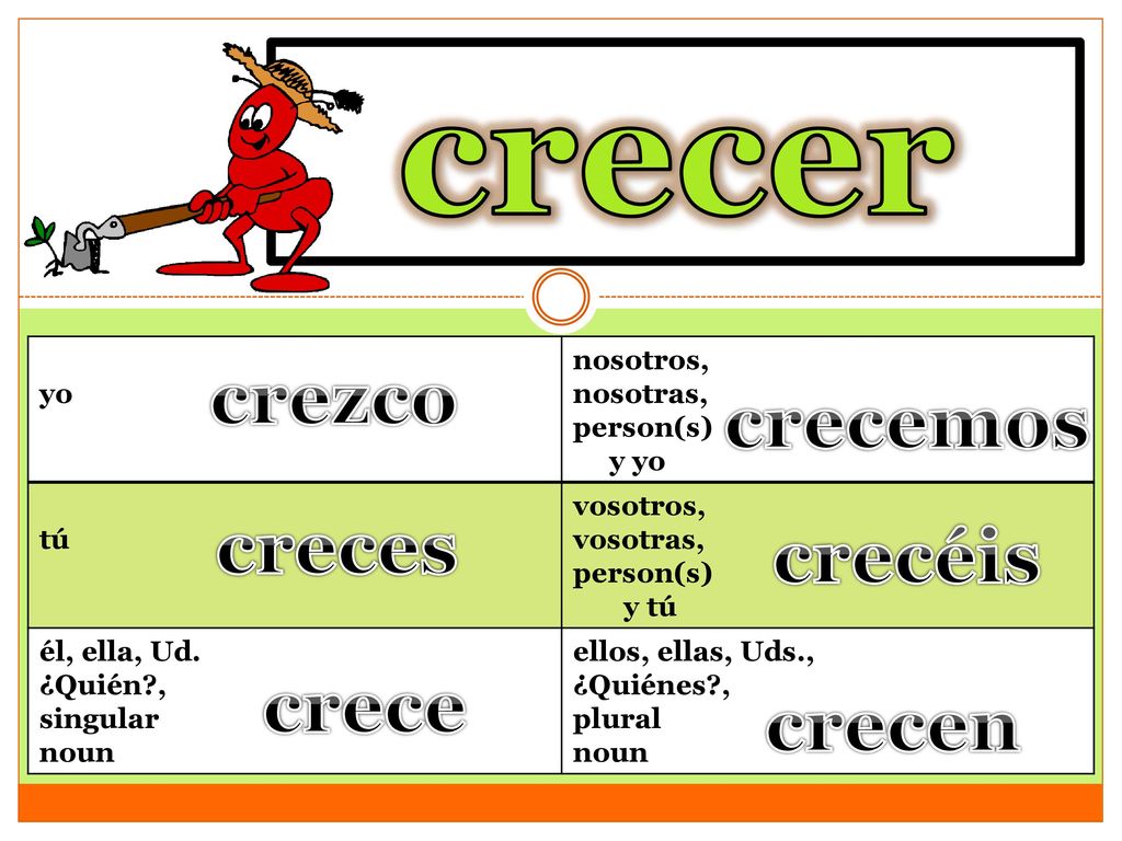 crecer to grow crezco crecemos creces crecéis crece crecen yo