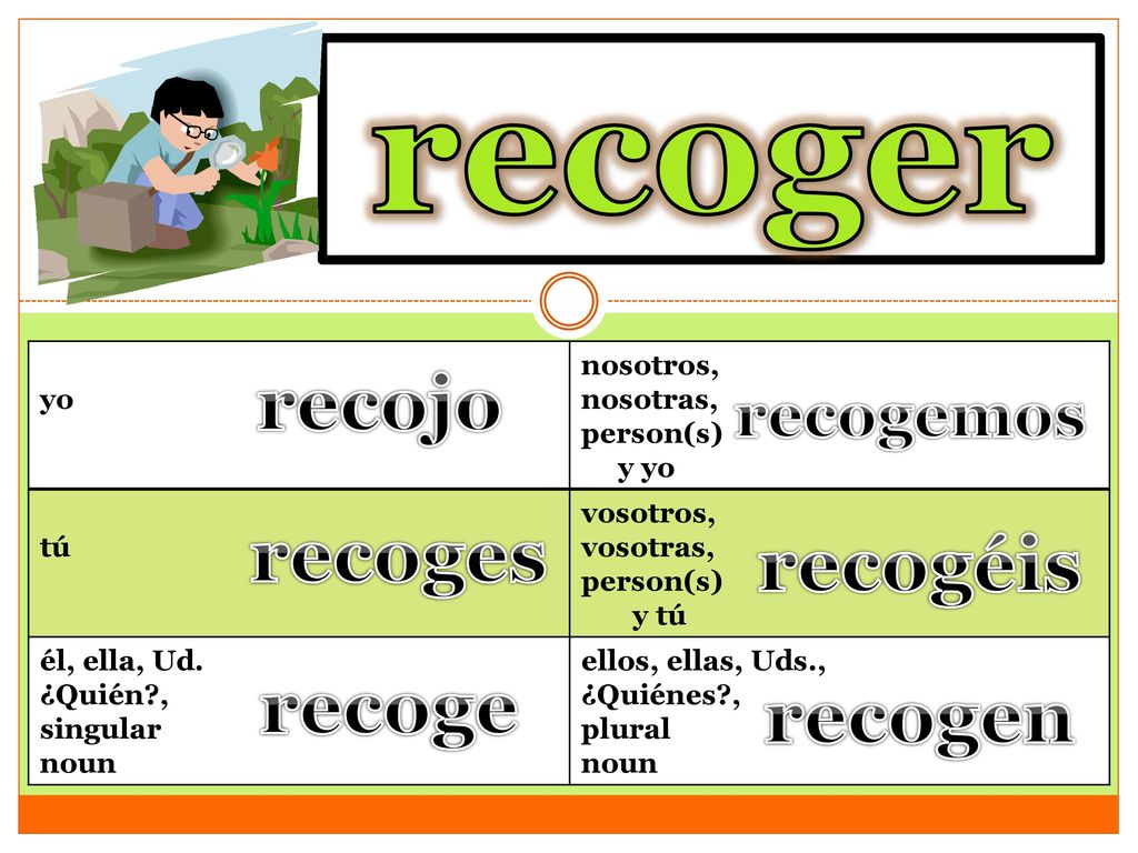 recoger to pick up recojo recoges recogéis recoge recogen recogemos yo