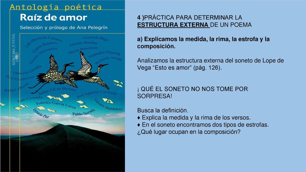 4 )PRÁCTICA PARA DETERMINAR LA ESTRUCTURA EXTERNA DE UN POEMA
