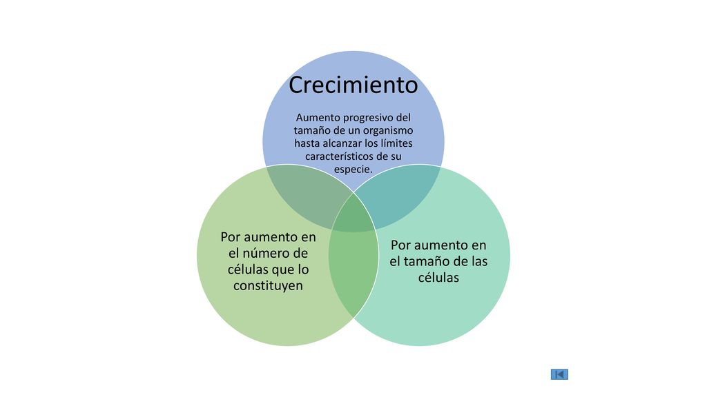 Crecimiento Por aumento en el número de células que lo constituyen