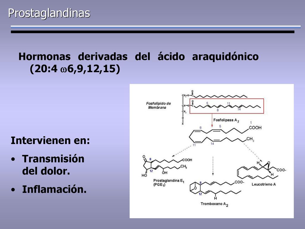 Prostaglandinas Hormonas derivadas del ácido araquidónico (20:4 w6,9,12,15) Intervienen en: Transmisión del dolor.