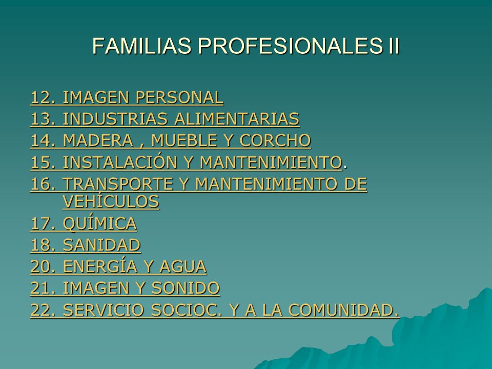 FAMILIAS PROFESIONALES II