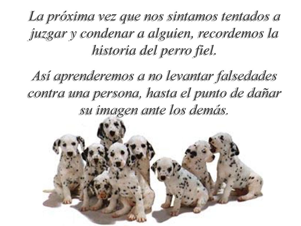 La próxima vez que nos sintamos tentados a juzgar y condenar a alguien, recordemos la historia del perro fiel.