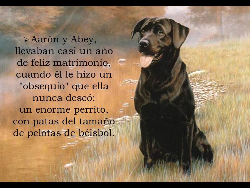 Aarón y Abey, llevaban casi un año de feliz matrimonio, cuando él le hizo un obsequio que ella nunca deseó: un enorme perrito, con patas del tamaño de pelotas de béisbol.