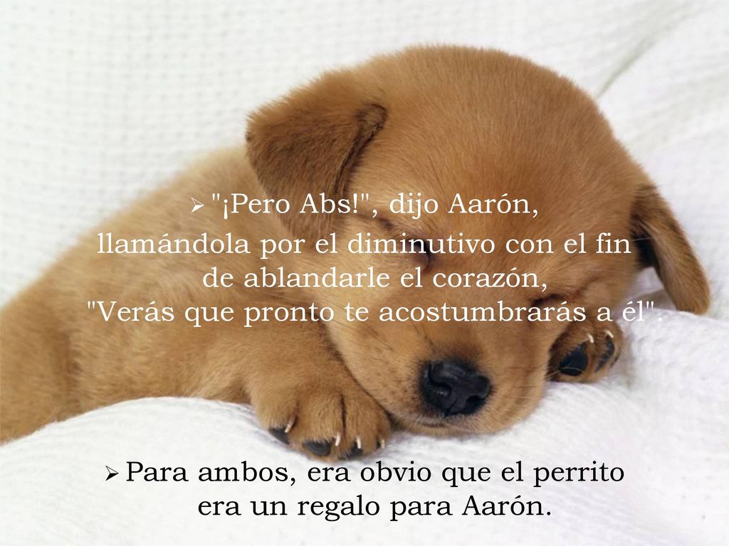 Para ambos, era obvio que el perrito era un regalo para Aarón.