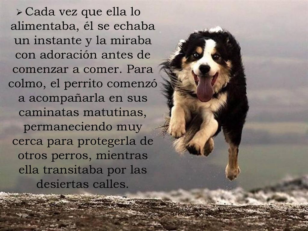 Cada vez que ella lo alimentaba, él se echaba un instante y la miraba con adoración antes de comenzar a comer.