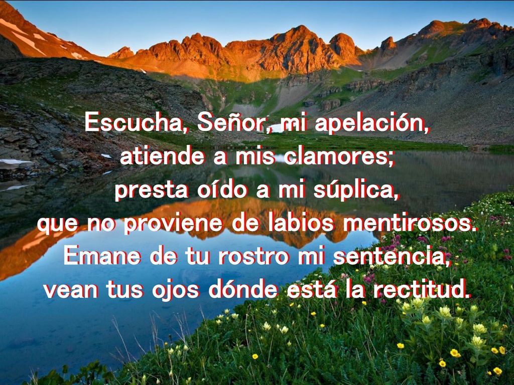 Escucha, Señor, mi apelación, atiende a mis clamores;