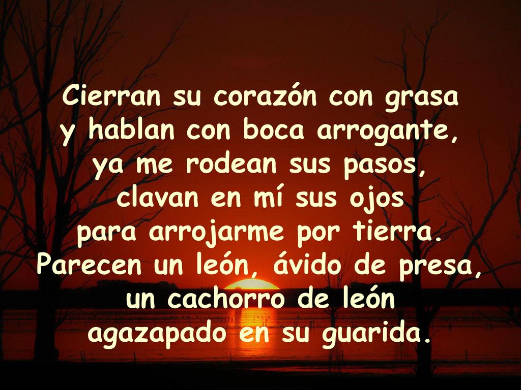 Cierran su corazón con grasa y hablan con boca arrogante,