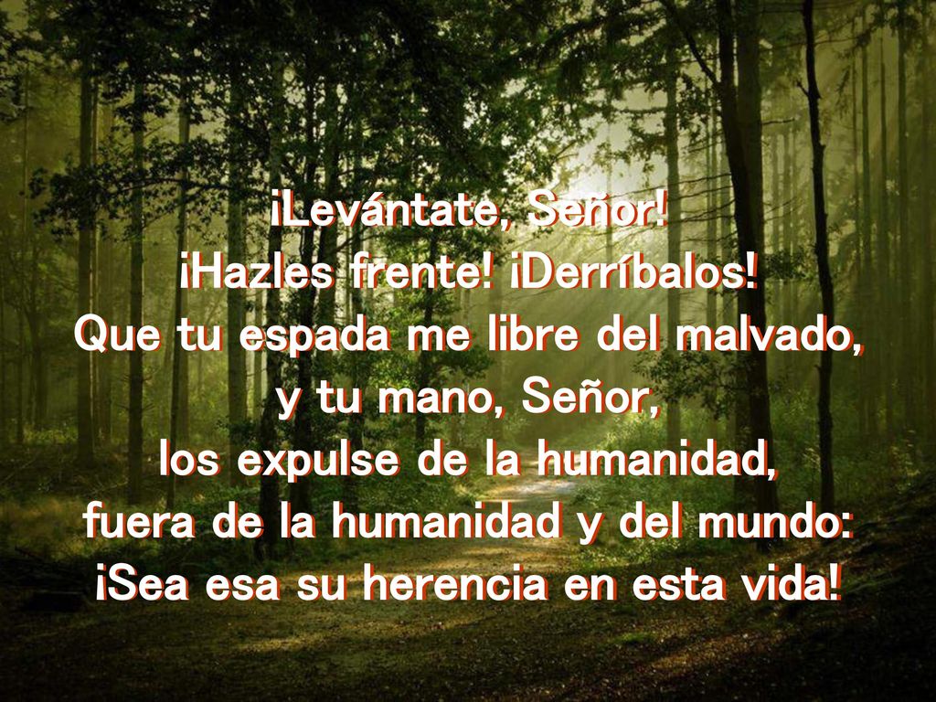 ¡Hazles frente! ¡Derríbalos! Que tu espada me libre del malvado,