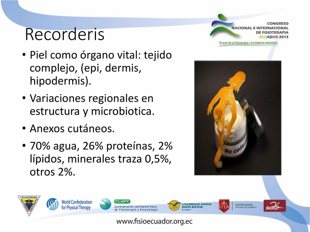 Recorderis Piel como órgano vital: tejido complejo, (epi, dermis, hipodermis). Variaciones regionales en estructura y microbiotica.