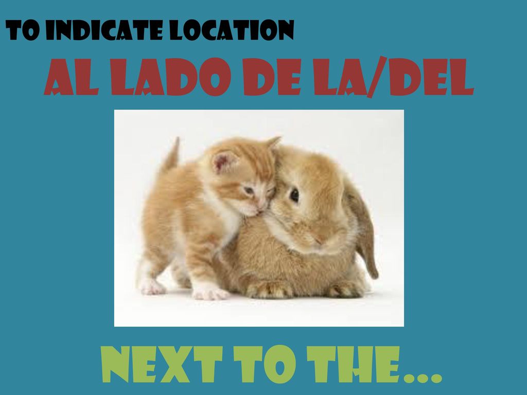 To indicate location al lado de la/del next to the…