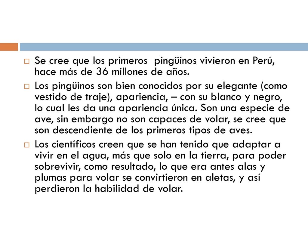 Se cree que los primeros pingüinos vivieron en Perú, hace más de 36 millones de años.