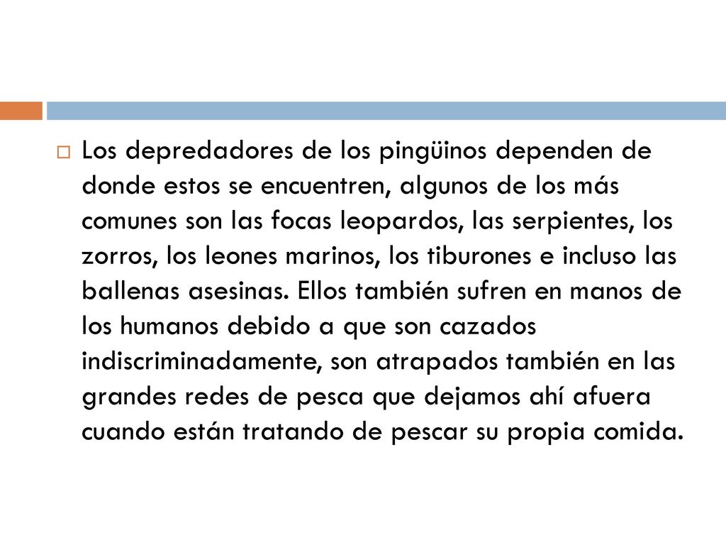 Los depredadores de los pingüinos dependen de donde estos se encuentren, algunos de los más comunes son las focas leopardos, las serpientes, los zorros, los leones marinos, los tiburones e incluso las ballenas asesinas.